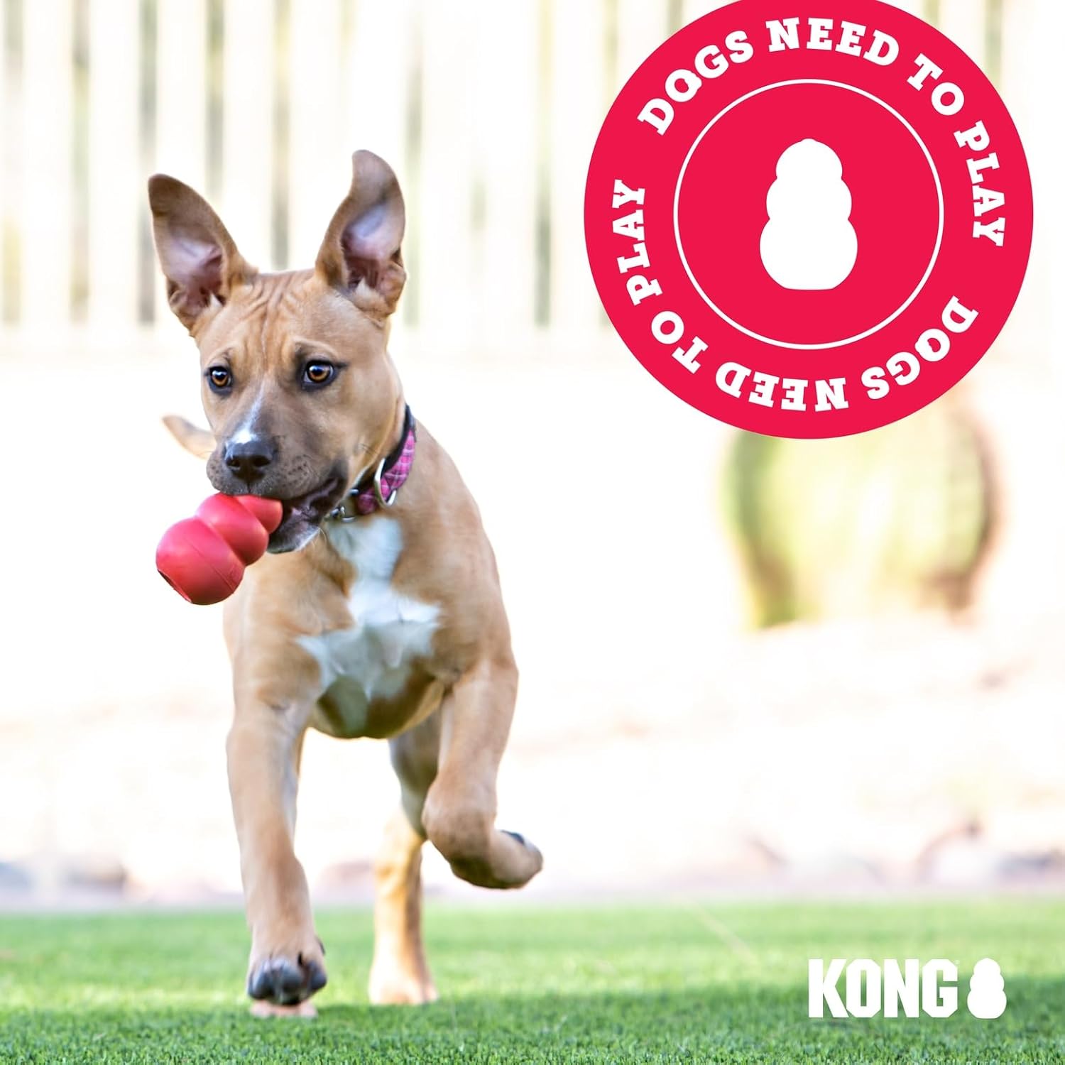 KONG Classic Dog Toy