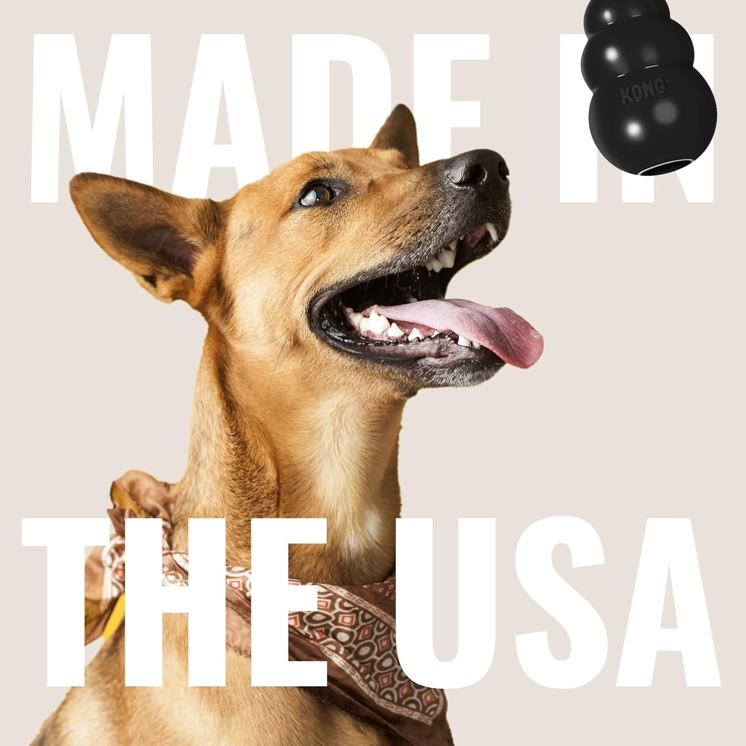 KONG Classic Dog Toy