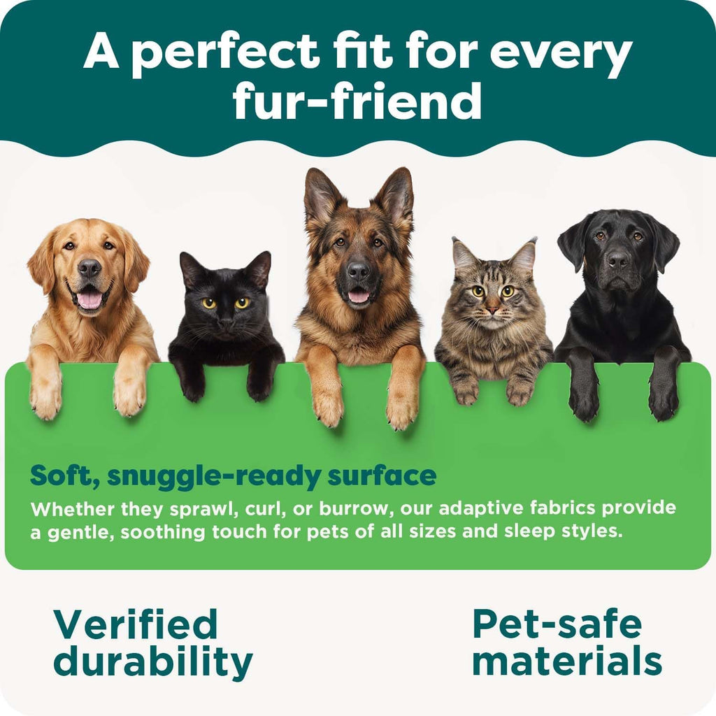 Furhaven Orthopedic Dog Bed
