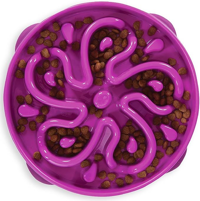 Outward Hound Fun Feeder Slo Bowl