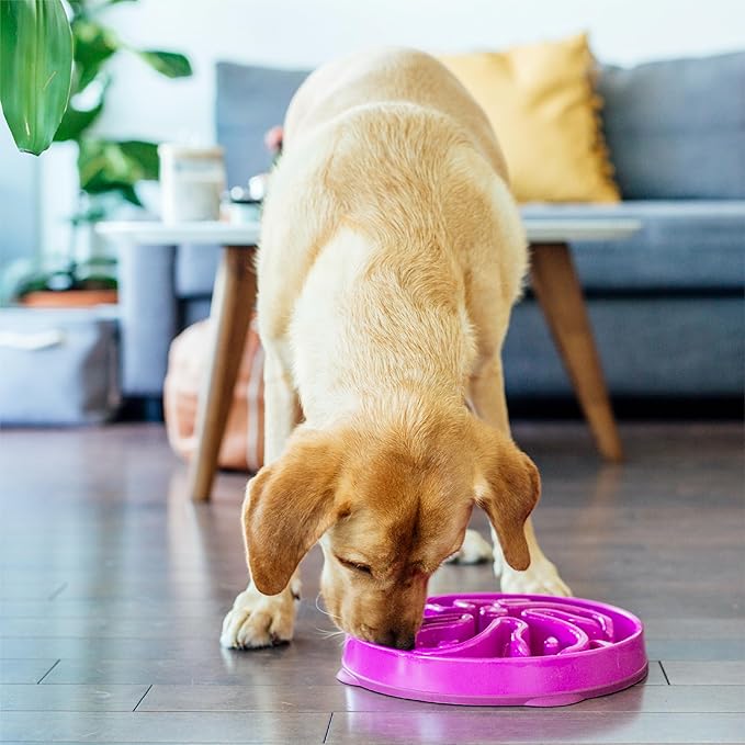 Outward Hound Fun Feeder Slo Bowl