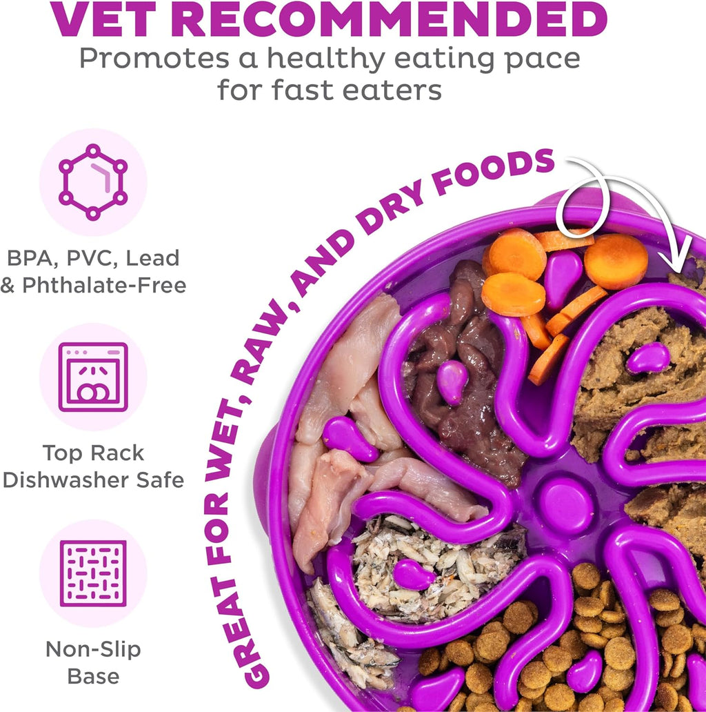 Outward Hound Fun Feeder Slo Bowl