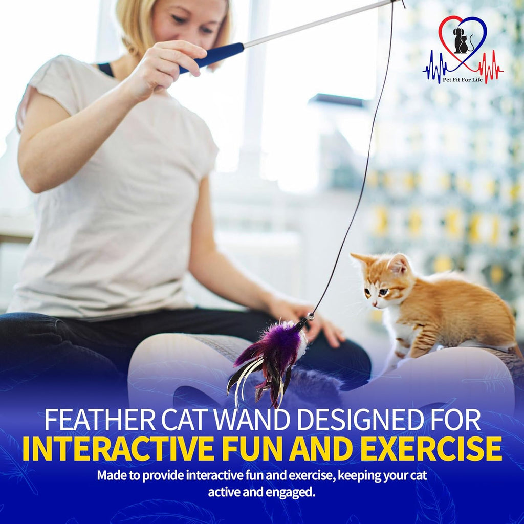 Pet Fit For Life Cat Feather Wand Toy