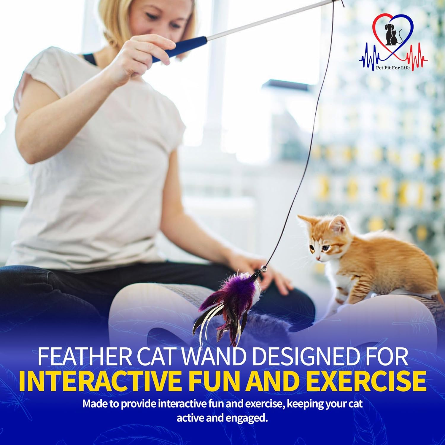 Pet Fit For Life Cat Feather Wand Toy