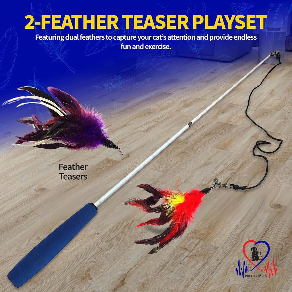 Pet Fit For Life Cat Feather Wand Toy
