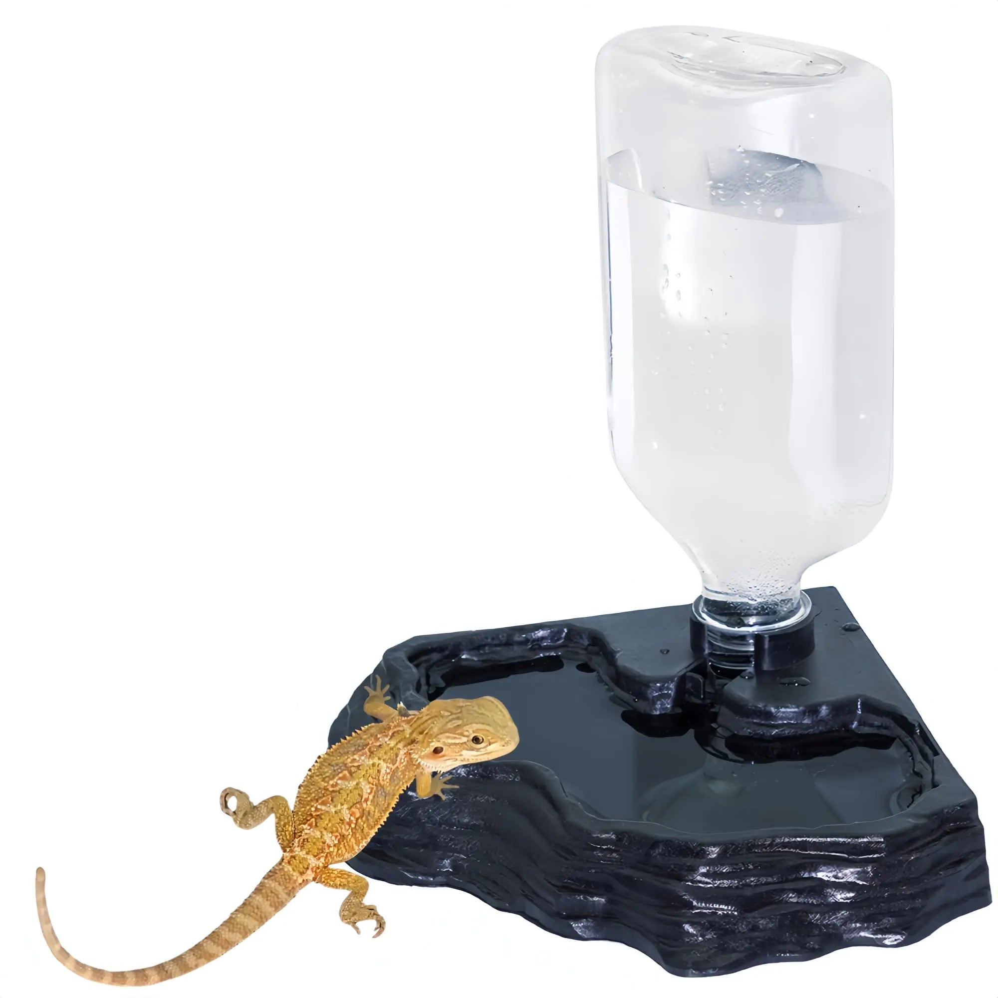 Automatic Reptile Terrarium Water Feeder Bowl – 17oz Capacity