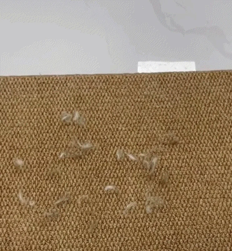 https://cdn.shopify.com/s/files/1/0643/2070/0477/files/ab5068b9-6784-465e-a853-0b0435069620.webp?v=1767711159